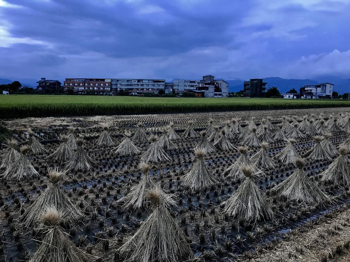 Early Summer Luodong Bagian luar foto